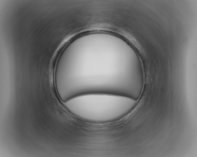 X0000112951224200908241020