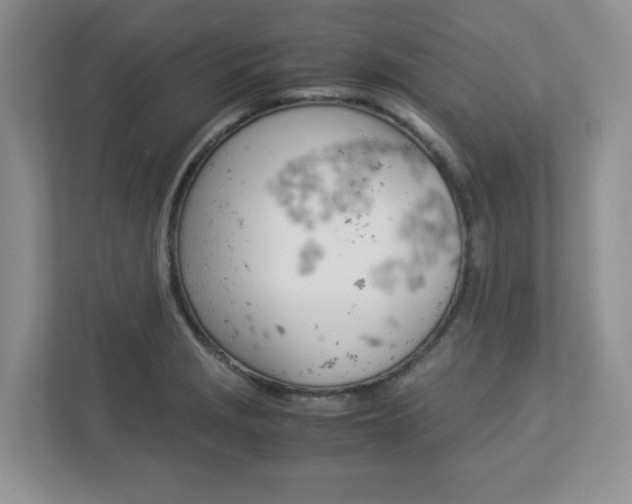 X0000112951229200908241020