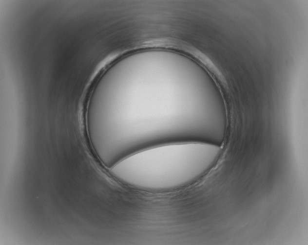 X0000112951230200908241020