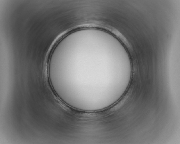 X0000112951232200908241020
