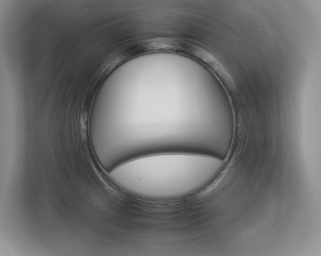 X0000112951233200908241020