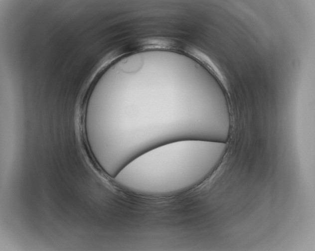 X0000112951235200908241020