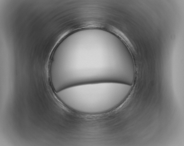 X0000112951236200908241020