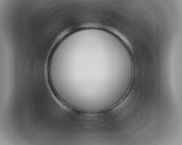 X0000112951237200908241020