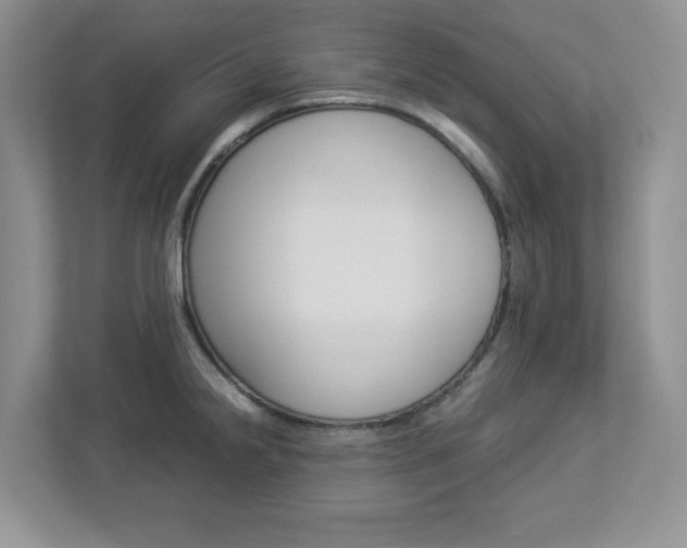 X0000112951238200908241020