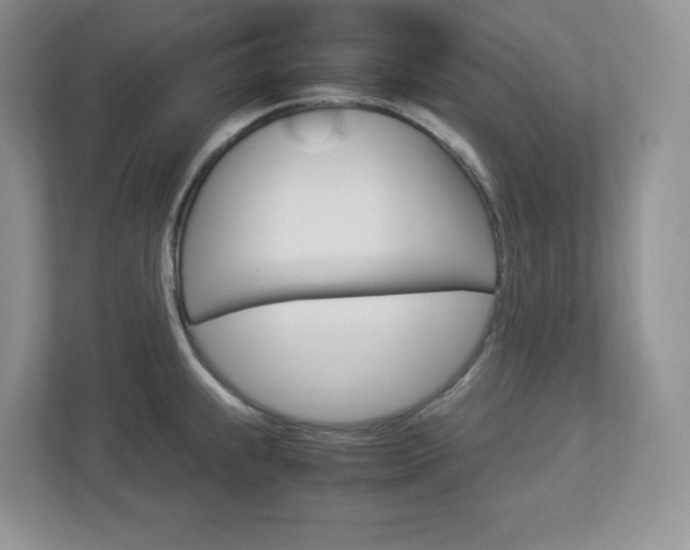 X0000112951239200908241020
