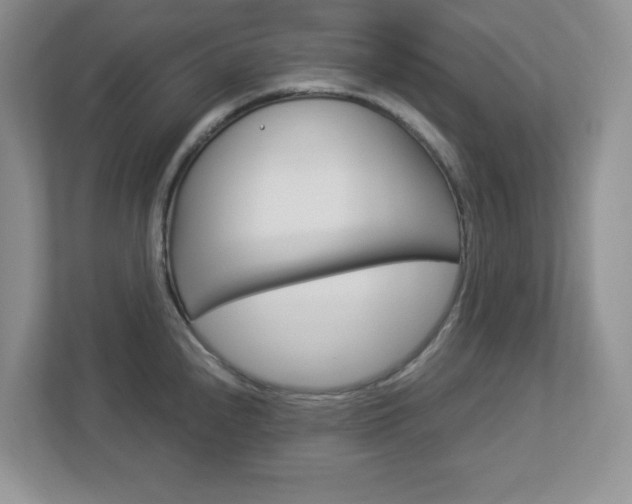 X0000112951240200908241020