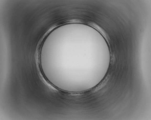 X0000112951243200908241020