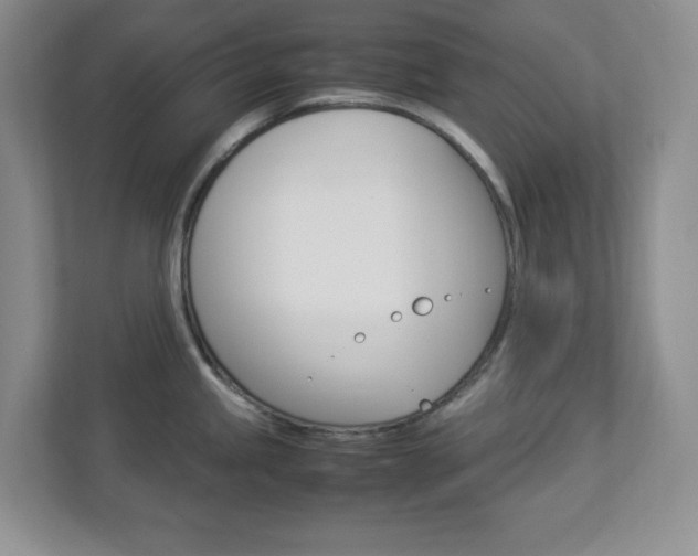 X0000112951245200908241020