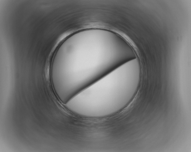 X0000112951246200908241020