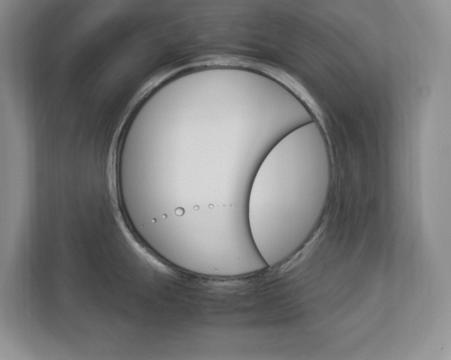 X0000112951247200908241020