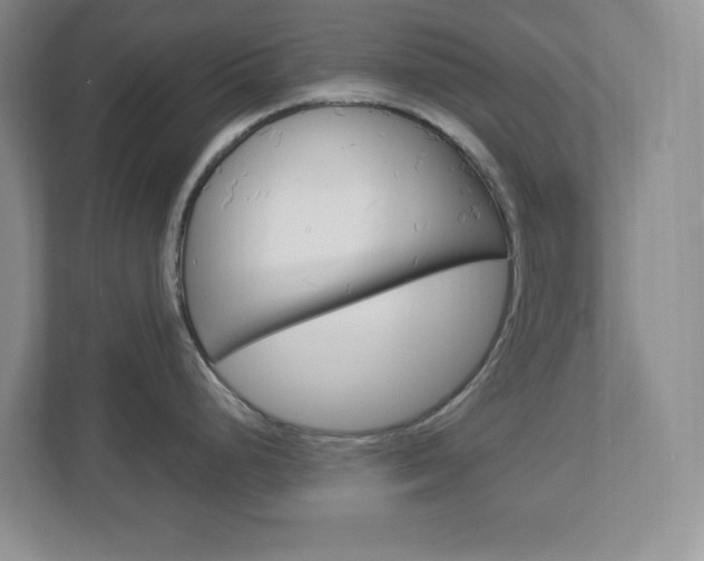 X0000112951248200908241020