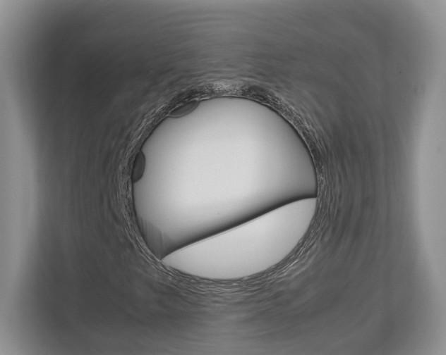 X0000112951249200908241020