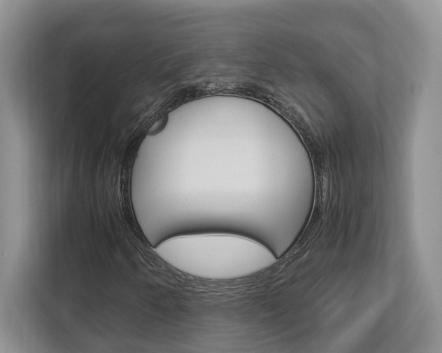 X0000112951250200908241020