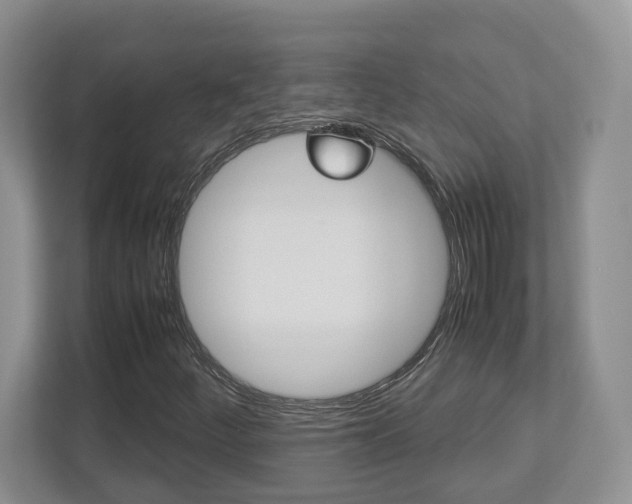 X0000112951252200908241020