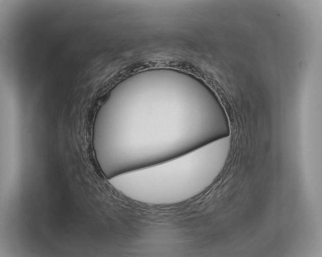X0000112951253200908241020