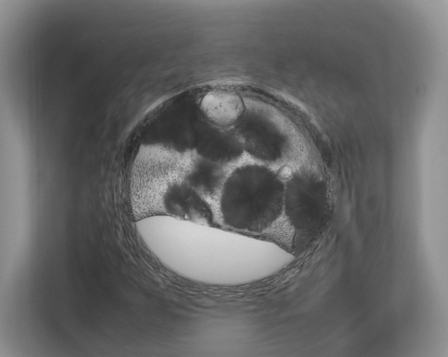 X0000112951255200908241020
