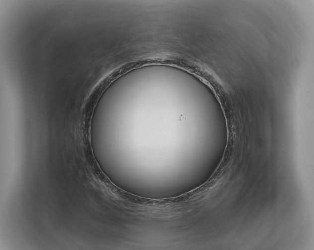 X0000112951256200908241020