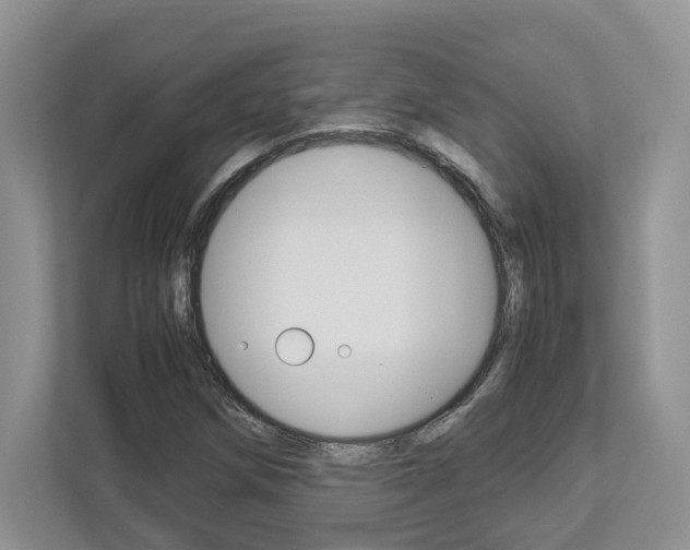X0000112951258200908241020