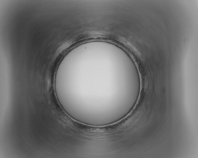 X0000112951261200908241020
