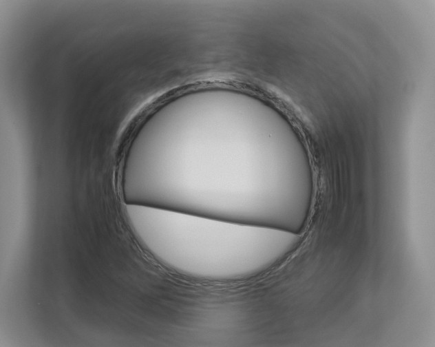 X0000112951262200908241020