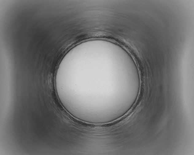 X0000112951265200908241020