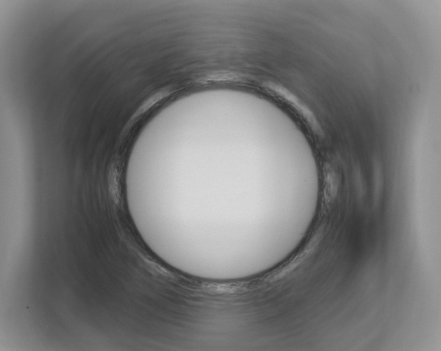 X0000112951266200908241020