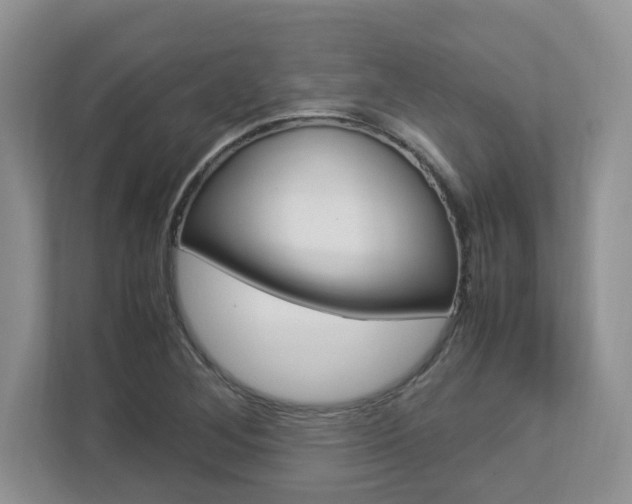 X0000112951268200908241020