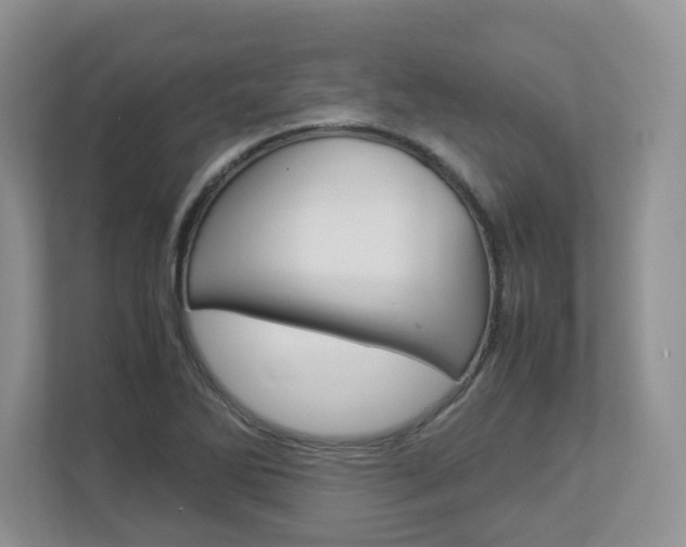 X0000112951270200908241020