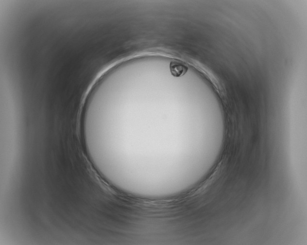 X0000112951272200908241020