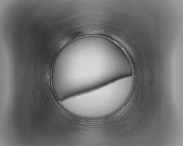 X0000112951273200908241019