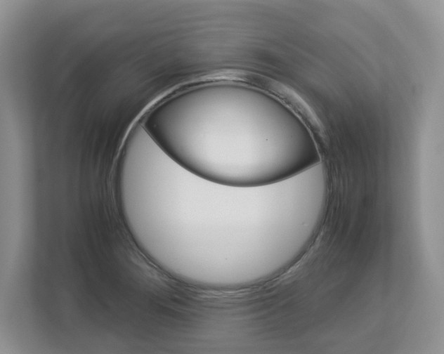 X0000112951276200908241019