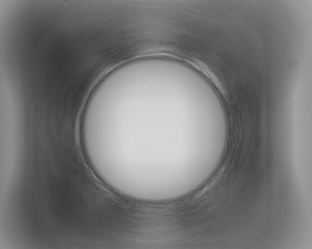 X0000112951277200908241019