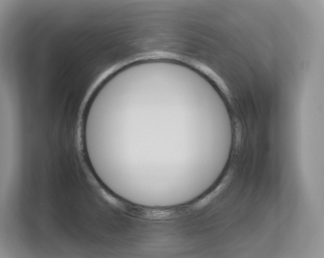 X0000112951278200908241019
