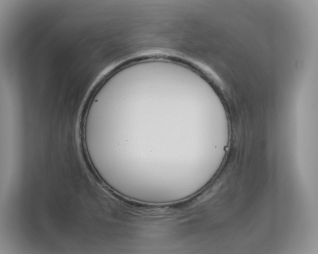 X0000112951279200908241019