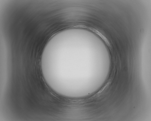 X0000112951281200908241019