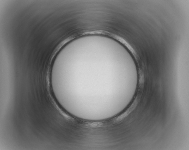 X0000112951282200908241019