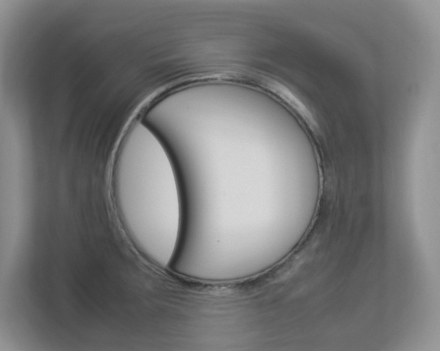 X0000112951283200908241019
