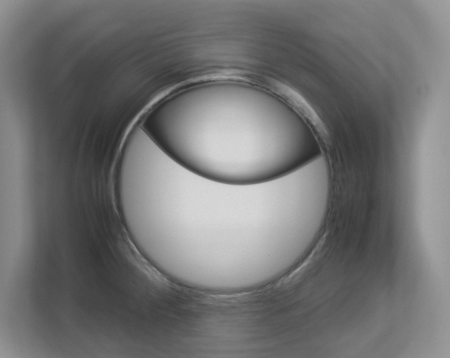 X0000112951284200908241019