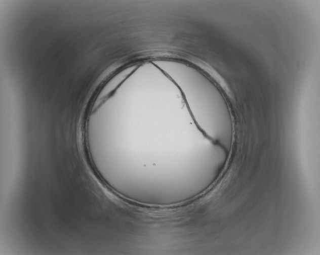 X0000112951285200908241019