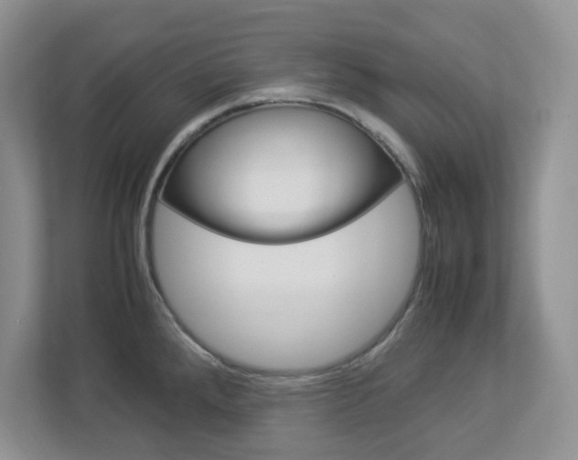 X0000112951288200908241019