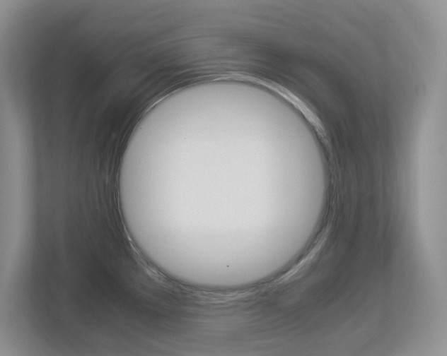 X0000112951289200908241019