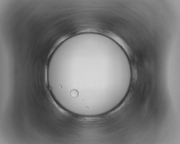 X0000112951290200908241019