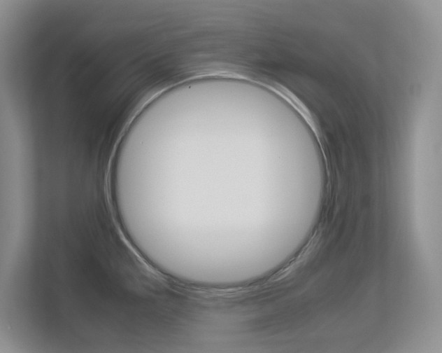 X0000112951293200908241019