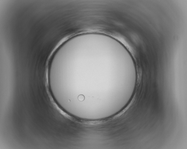 X0000112951294200908241019