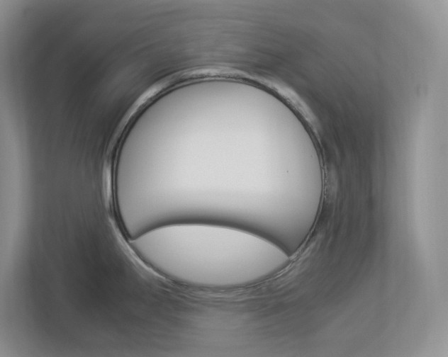 X0000112951295200908241019