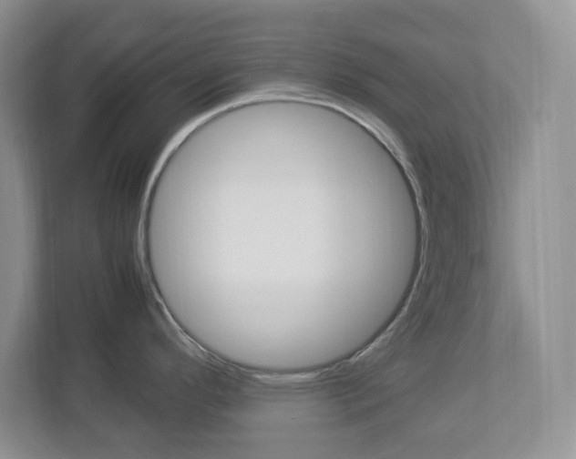 X0000112951296200908241019