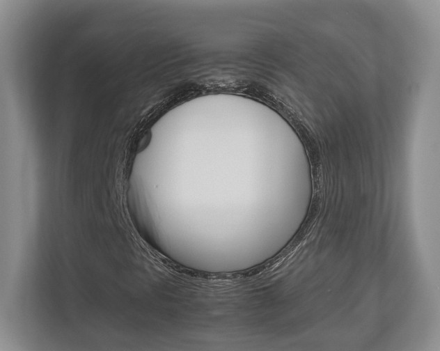 X0000112951297200908241019