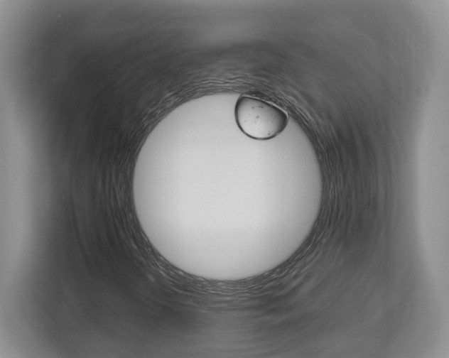 X0000112951298200908241019