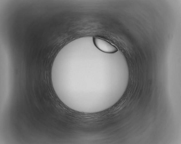 X0000112951300200908241019